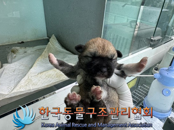 한국동물구조관리협회_411317202500019